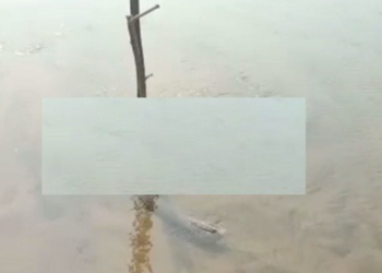 ମହାନଦୀରେ ଭାସୁଛି ଅଜଣା ବ୍ୟକ୍ତିଙ୍କ ମୃତଦେହ; ଘଟଣା ସ୍ଥଳକୁ ଆସୁନି ପୋଲିସ