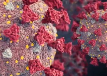 ଫେବୃଆରୀ ସୁଦ୍ଧା ଆସିପାରେ ତୃତୀୟ ଲହର !