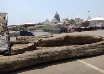 ଆଜି ଆଳନ ହେବ ପବିତ୍ର ରଥ କାଠ ପୂଜା ନୀତି