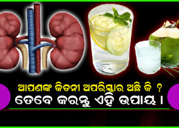 ଆପଣଙ୍କ କିଡନୀ ଅପରିସ୍କାର ଅଛି କି ? ତେବେ କରାନ୍ତୁ ଏହି ଉପାୟ ।