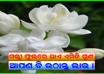 ତ୍ୱଚା ପାଇଁ ମଲ୍ଲୀ ଫୁଲ ବହୁ ଉପକାର ।