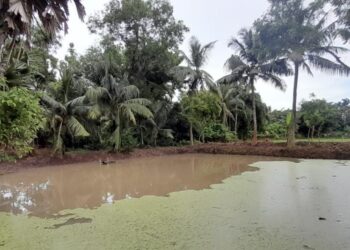 ମୋ ପୋଖରୀ ଖନନରେ ଅନିୟମିତତା ଅଭିଯୋଗ ଆଣି, ଜିଲ୍ଲାପାଳ ଙ୍କ ନିକଟରେ  ଗ୍ରାମବାସୀଙ୍କ ଫେରାଦ୍।