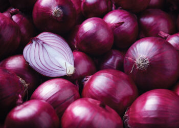 ୧୫ ଦିନରେ ବଢିଲାଣି ୧୫ ଟଙ୍କା ପିଆଜ ଦର