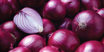 ୧୫ ଦିନରେ ବଢିଲାଣି ୧୫ ଟଙ୍କା ପିଆଜ ଦର