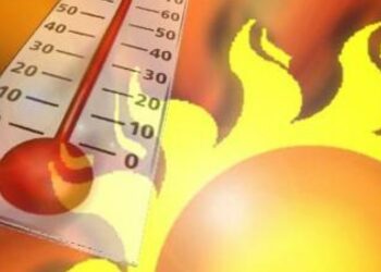 ଅସହ୍ୟ ତାତିରେ ସିଜୁଛି ତାଳଚେଲ