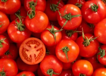 ଏହିପରି ଭାବେ ଟମାଟୁ ରଖନ୍ତୁ, ଶୀଘ୍ର ହେବ ନାହିଁ ନଷ୍ଟ