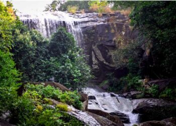 ଗନ୍ଧମାର୍ଦ୍ଦନ ପର୍ବତକୁ ମିଳିଲା “ଜୈବ ବିବିଧ ଐତିହ୍ୟ”