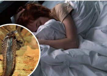 ସ୍ୱପ୍ନରେ ସାପ ଦେଖୁଛନ୍ତି କି ? ହୋଇପାରେ ଅଶୁଭ