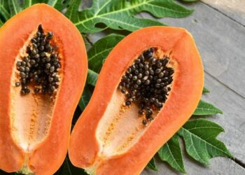 କଦାପି ଅମୃତଭଣ୍ଡାର ମଞ୍ଜିକୁ ଅଦରକାରୀ ଭାବରେ ପକାନ୍ତୁ ନାହିଁ, ଏହି ଉପାୟରେ ବ୍ୟବହାର କରନ୍ତୁ