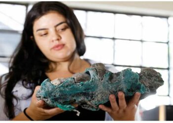 ପ୍ରକୃତି ପାଇଁ ଚ୍ୟାଲେଞ୍ଜ ; ଦ୍ୱୀପରୁ ମିଳିଛି ପ୍ଲାଷ୍ଟିକରେ ନିର୍ମିତ ପଥର, ବୈଜ୍ଞାନିକଙ୍କ କହିବା ଅନୁଯାୟୀ – ବିଶ୍ୱ ପାଇଁ ବଡ଼ ଚେତାବନୀ !