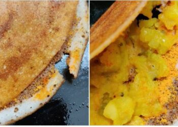 ରେଷ୍ଟୁରାଣ୍ଟରୁ ମଗାଇଥିଲେ ମସାଲା ଦୋସା , ଆଉ ଅର୍ଡରେ ଆସିଲା କିଛି ଏପରି ..