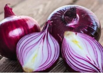 କଞ୍ଚା ପିଆଜ ଖାଇବାର ଲାଭ ଆପଣ ଜାଣନ୍ତି କି? ଯଦି ନୁହେଁ, ତେବେ ଖାଇବା ଆରମ୍ଭ କରନ୍ତୁ