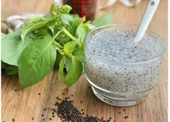 କେବଳ ତୁଳସୀ ପତ୍ର ନୁହେଁ, ମଞ୍ଜି ମଧ୍ୟ ଆୟୁର୍ବେଦର ବରଦାନ