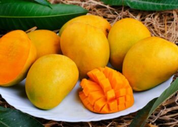 ଖରାଦିନରେ ଖାଆନ୍ତୁ ଏହି ଫଳ , କମିଯିବ ଓଜନ !