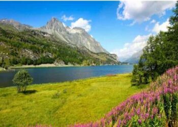 ଦୁନିଆର ଏହି ସ୍ଥାନରେ ବସବାସ କଲେ ସରକାର ଦେବେ ଟଙ୍କା ..