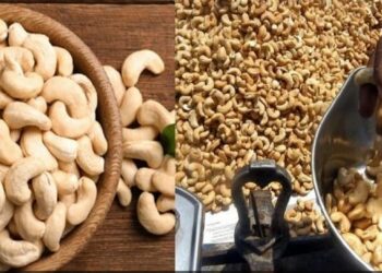 କାଜୁର ସହର ..ଆଳୁ ଏବଂ ପିଆଜ ଅପେକ୍ଷା ଏଠାରେ କାଜୁର ମୂଲ୍ୟ ଶସ୍ତା