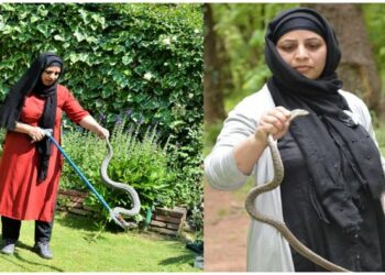 କାଶ୍ମୀରର ପ୍ରଥମ ‘ସ୍ନେକ ଲେଡି’ ଆଲିଆ