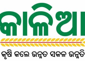 ମିଳିଲା କାଳିଆ ସହାୟତା