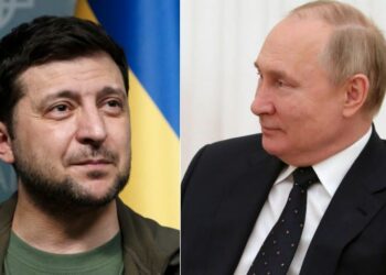 ଦିଲ୍ଲୀରେ ସାକ୍ଷାତ ହେବେ ପୁଟିନ ଓ ଜେଲେନସ୍କି ! ଯାହାକୁ ନେଇ ହେଉଛି ଚର୍ଚ୍ଚା