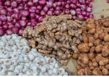 ହାଣ୍ଡିଶାଳରେ ମାଡ, ୩ ଗୁଣ ବଢିଛି ଅଦା ଓ ରସୁଣ ଦାମ