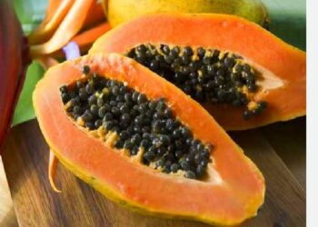 ଅମୃତ ଭଣ୍ଡା ଖାଇବା ପରେ, ଆପଣ ମଧ୍ୟ ଏହାର ମଞ୍ଜି ଫୋପାଡି ଦିଅନ୍ତି କି? ମଞ୍ଜିରେ ରହିଛି ଅନେକ ଲାଭ