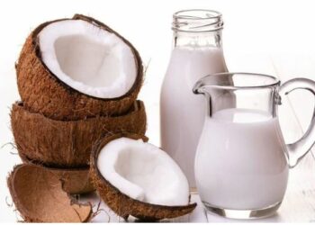 ଘରେ ନଡ଼ିଆ କ୍ଷୀର ସାମ୍ପୁ କରନ୍ତୁ ପ୍ରସ୍ତୁତ, କେଶ ପାଇଁ ସବୁଠୁ ବେଷ୍ଟ