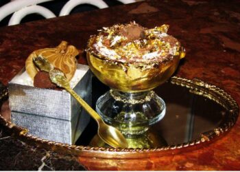 ଦୁନିଆର ସବୁଠୁ ଦାମୀ ଆଇସକ୍ରିମ୍, ଗୋଟିଏ କପ୍ ଆଇସକ୍ରିମ ମୂଲ୍ୟରେ ଆପଣ କାର ମଧ୍ୟ କିଣି ପାରିବେ