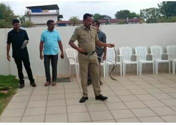 କର୍ଣ୍ଣାଟକ ବିଜେପି ନେତାଙ୍କ ଘରେ ଚାଲିଥିବା ବୈଠକରେ ପଶିଲା ନାଗ