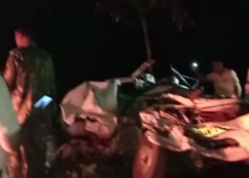 ବିବାହ ଭୋଜିରୁ ଫେରିବା ବେଳେ ଘଟିଲା ଦୁର୍ଘଟଣା , ଗୋଟିଏ ପରିବାରର ୧୧ ଜଣଙ୍କ ମୃତ୍ୟୁ