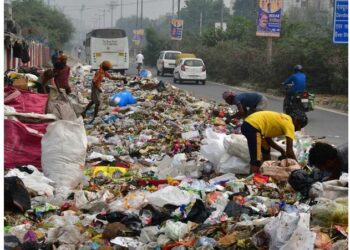 ଆବର୍ଜନା ବିକି ପ୍ରତି ମାସରେ ୪ ଲକ୍ଷ ରୋଜଗାର କରୁଛନ୍ତି ଜଣେ ଉଚ୍ଚ ଶିକ୍ଷିତ ମହିଳା