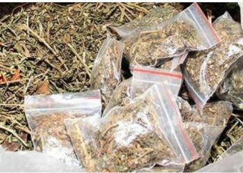 କାରରୁ ଦେଢ କ୍ୱିଣ୍ଟାଲ ଗଞ୍ଜେଇ ଜବତ