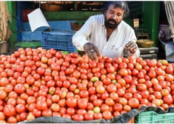 ଟମାଟୋ ଦର ବୃଦ୍ଧି ; ବର୍ଷାକୁ ଦୋଷ ଦେଲେ ଯୋଗାଣ ମନ୍ତ୍ରୀ