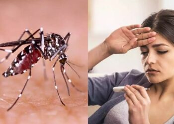 ଡେଙ୍ଗୁ ଏବଂ ମ୍ୟାଲେରିଆ ଜ୍ୱରରୁ ରକ୍ଷା ପାଇବା ପାଇଁ ଏହି ୪ଟି ଘରୋଇ ଉପଚାର ପ୍ରସ୍ତୁତ ରଖନ୍ତୁ ..