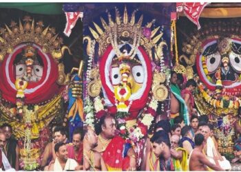 ସୁନାବେଶ ଟ୍ରାଫିକ ଜଗିବ ଡ୍ରୋନ