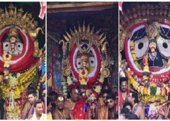 ଚତୁର୍ଦ୍ଧା ବିଗ୍ରହଙ୍କ ସୁନାବେଶ