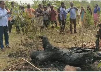 ମାରି ପୋଡିଦେଲେ !