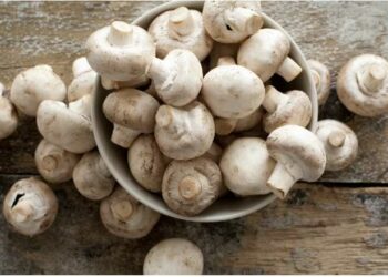 ଓଜନ ହ୍ରାସ କରିବାରେ ଛତୁ ଅତ୍ୟନ୍ତ ପ୍ରଭାବଶାଳୀ, ଏହାକୁ ଖାଦ୍ୟରେ କିପରି ଅନ୍ତର୍ଭୁକ୍ତ କରାଯିବ ଜାଣନ୍ତୁ ..