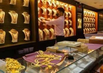 ଗ୍ରାହକ ସାଜି ସବୁ ଲୁଟି ନେଲେ