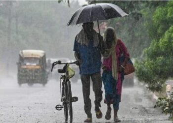 ଓଡିଶା ଛୁଇଁଲା ମୈାସୁମୀ