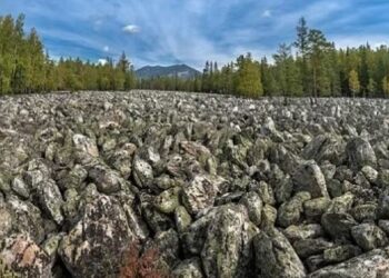 ଦୁନିଆର ଏକମାତ୍ର ନଦୀ, ଯେଉଁଠାରେ ଜଳ ନାହିଁ କେବଳ ପ୍ରବାହିତ ହୁଏ ପଥର, ବୈଜ୍ଞାନିକମାନେ ବି ଆଶ୍ଚର୍ଯ୍ୟ