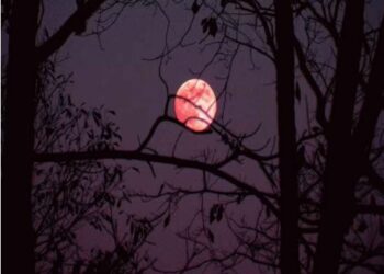 ଏହି ୫ଟି ଦେଶର ଜାତୀୟ ପତାକା ଏବେ ଚନ୍ଦ୍ରରେ ଉଡୁଛି , ଜାଣନ୍ତୁ ..