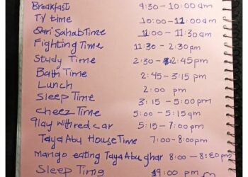 ୬ ବର୍ଷର ପିଲା ତିଆରି କରିଛି ନିଜର ଟାଇମ ଟେବୁଲ , ଯେଉଁଥିରେ ପଢା ସମୟ ରହିଛି ମାତ୍ର ୧୫ ମିନିଟ