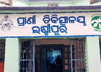 ସେଚ୍ଛାକୃତ ଅବସର ନେଲେ ପିପଲପଦର ପ୍ରାଣୀଧନ ନିରୀକ୍ଷକ