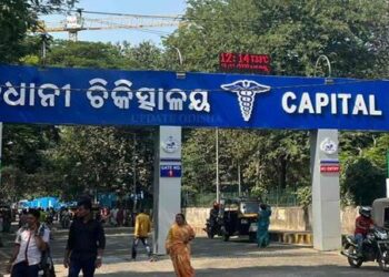 ଡେଙ୍ଗୁ ନେଲା ପ୍ରସୂତିଙ୍କ ଜୀବନ