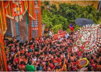 ଆଜି ନୀଳାଦ୍ରି ବିଜେ