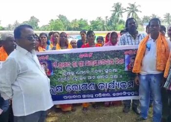 ପୋର୍ଟ ହାଇସ୍କୁଲ ପରିସରରେ ବୃକ୍ଷରୋପଣ କାର୍ଯ୍ୟକ୍ରମ