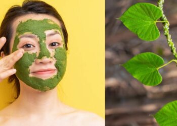 ଏହି ସବୁଜ ପତ୍ର ମୁହଁରେ ଲଗାନ୍ତୁ , ତ୍ୱଚା ରହିବ ଉଜ୍ୱଳ