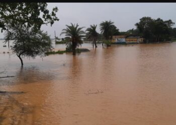 ବିପଦ ସଂକେତ ଉପରେ ବୈତରଣୀ