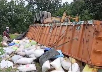 ରାସ୍ତା ଉପରେ ଓଲଟି ପଡିଲା ଗହମ ବୋଝେଇ ଟ୍ରଲର