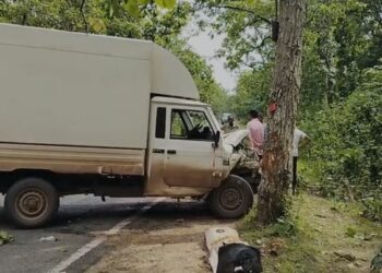 ଶାଳ ଗଛ ସହ ପିଟି ହେଲା ପିକଅପ ଭ୍ୟାନ